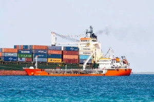 މިދިޔަ ހަފްތާތެރޭ 11 ހާހަށް ވުރެ ގިނަ ބިސްކޭސް އެތެރެކޮށްފި