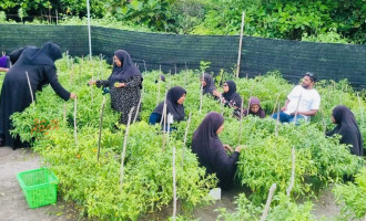 ދަނޑުވެރިކަމަށް ޗައިނާއިން ދިން އެހީ ހަވާލުކުރާނީ އަތޮޅު އަދި ސިޓީކައުންސިލްތަކަށް
