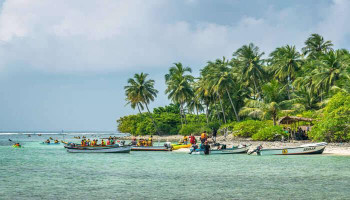 މަލިކުގައި ދިވެހި ބަސް ކިޔަވައިދިނުން ހުއްޓާލުމުން މުޒާހަރާ ކޮށްފި