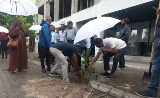 ވިލިމާލޭގައި 500 ގަސް އިންދުމުގެ ބޮޑު ހަރަކާތެއް ބާއްވައިފި